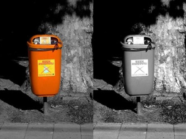 over the dustbin